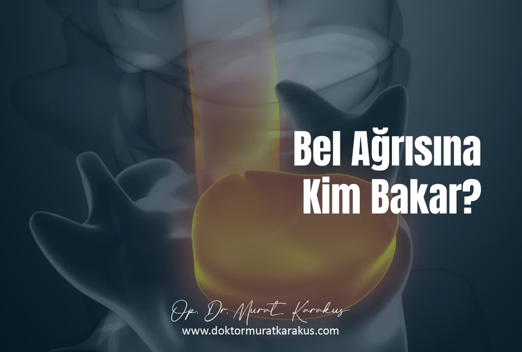 bel-agrisina-kim-bakar