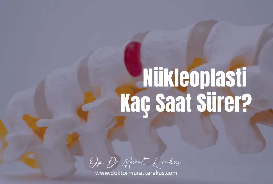nukleoplasti-kac-saat-surer-1043x704